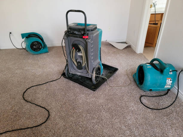 Best Local water damage restoration  in Cozad, NE