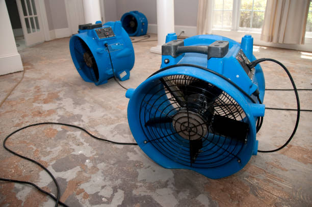Trusted Cozad, NE Water damage restoration Experts