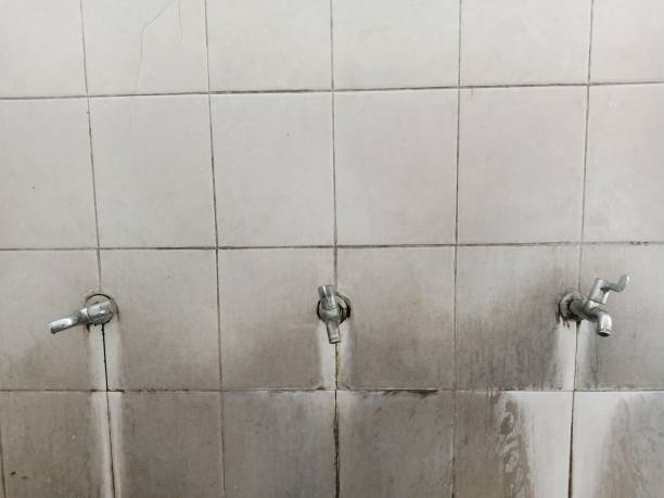 Best Water damage restoration near me  in Cozad, NE